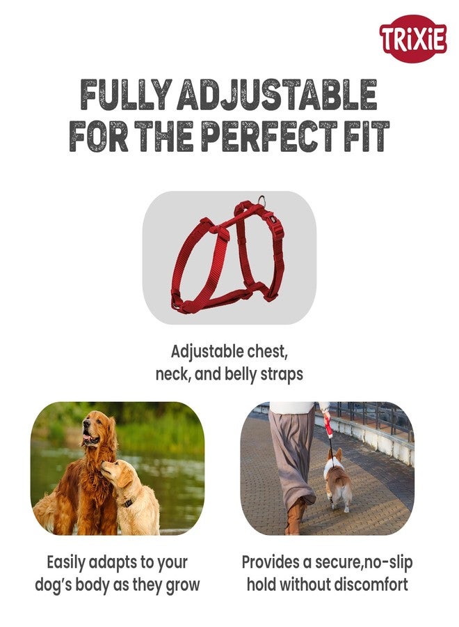 Trixie Premium H-Harness for Large Dogs - XL-XXL (85-130 cm), Adjustable Padded Dog Harness, Heavy-Duty Pet Harness, Red - Image 4